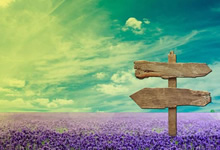 西普大陆霉小球怎么获得